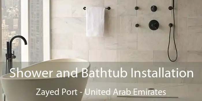 Shower and Bathtub Installation Zayed Port - United Arab Emirates