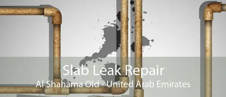 Slab Leak Repair Al Shahama Old - United Arab Emirates