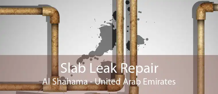 Slab Leak Repair Al Shahama - United Arab Emirates