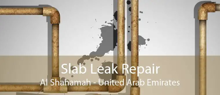 Slab Leak Repair Al Shahamah - United Arab Emirates