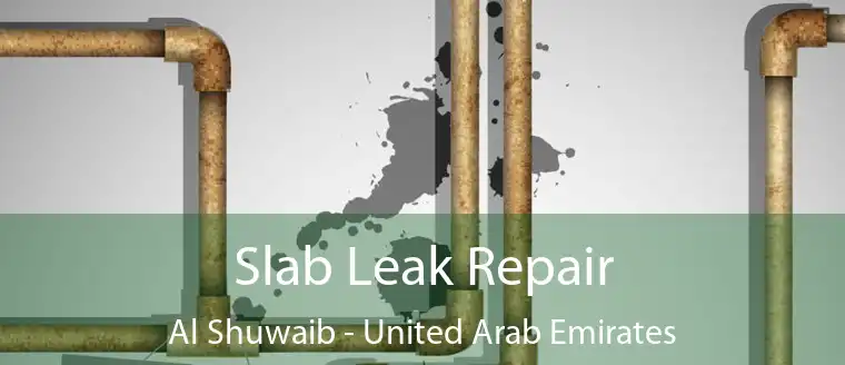 Slab Leak Repair Al Shuwaib - United Arab Emirates