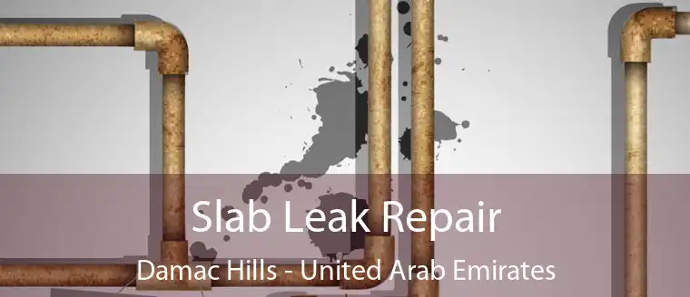 Slab Leak Repair Damac Hills - United Arab Emirates