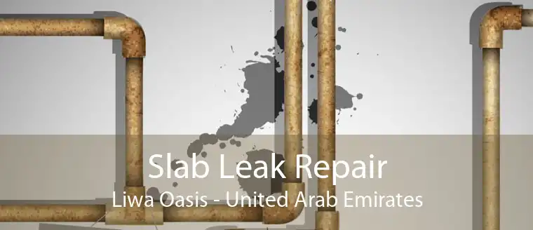 Slab Leak Repair Liwa Oasis - United Arab Emirates