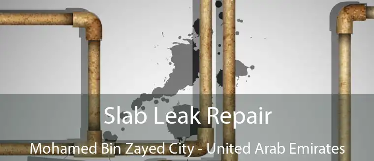 Slab Leak Repair Mohamed Bin Zayed City - United Arab Emirates