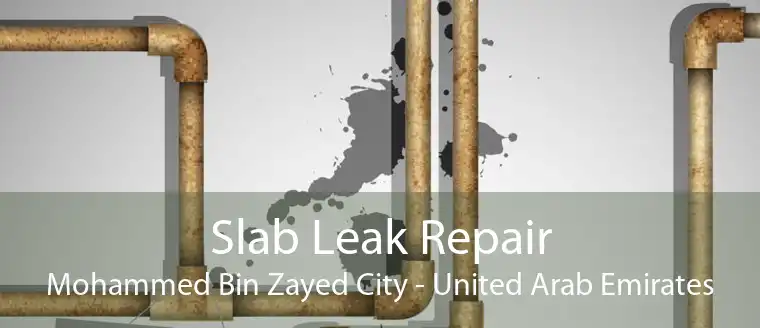 Slab Leak Repair Mohammed Bin Zayed City - United Arab Emirates