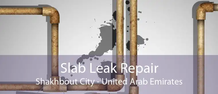 Slab Leak Repair Shakhbout City - United Arab Emirates