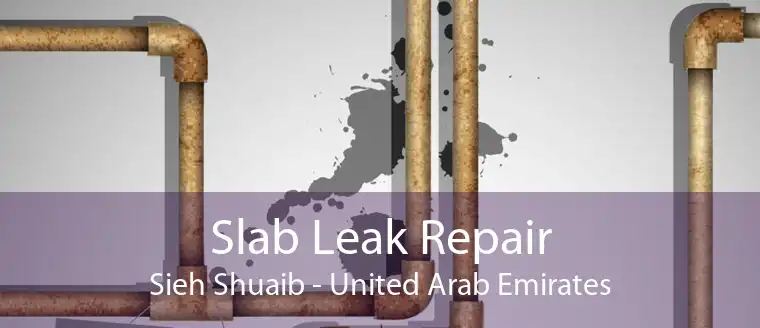 Slab Leak Repair Sieh Shuaib - United Arab Emirates