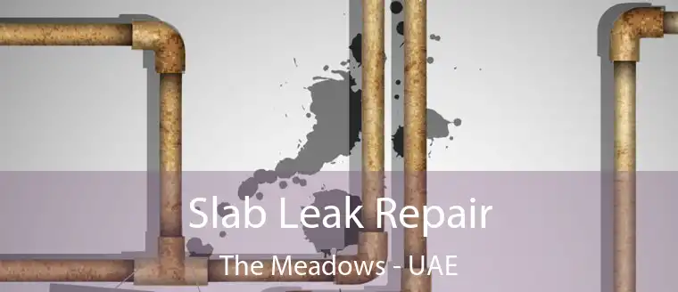 Slab Leak Repair The Meadows - UAE