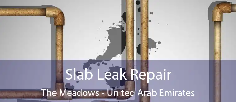 Slab Leak Repair The Meadows - United Arab Emirates