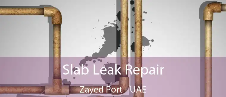 Slab Leak Repair Zayed Port - UAE