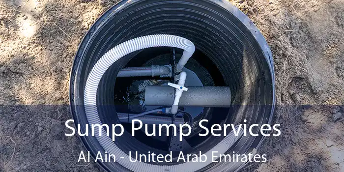 Sump Pump Services Al Ain - United Arab Emirates
