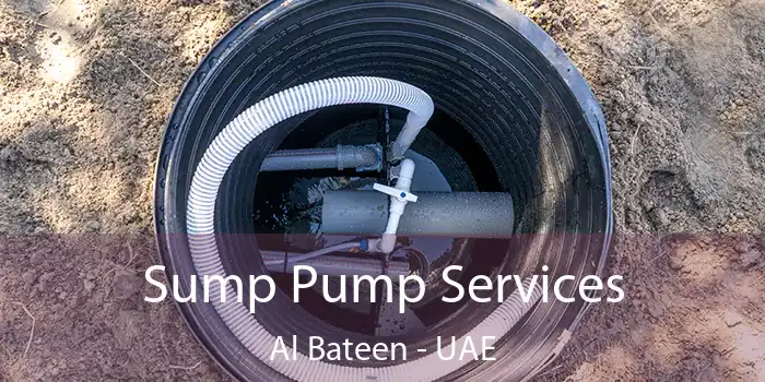  Sump Pump Services Al Bateen - UAE