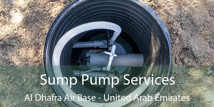 Sump Pump Services Al Dhafra Air Base - United Arab Emirates