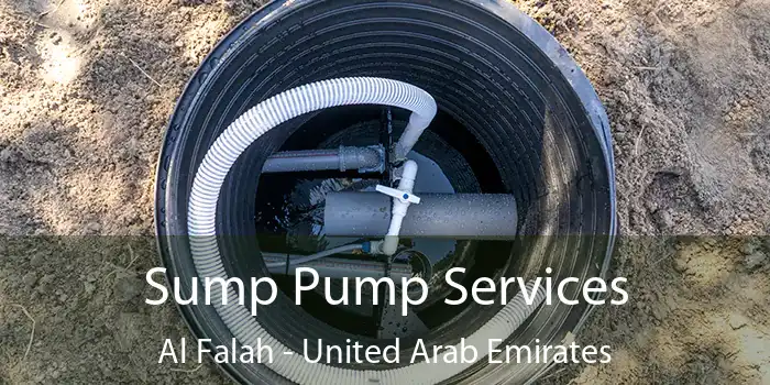 Sump Pump Services Al Falah - United Arab Emirates