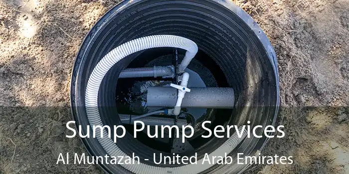 Sump Pump Services Al Muntazah - United Arab Emirates