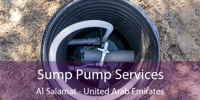 Sump Pump Services Al Salamat - United Arab Emirates