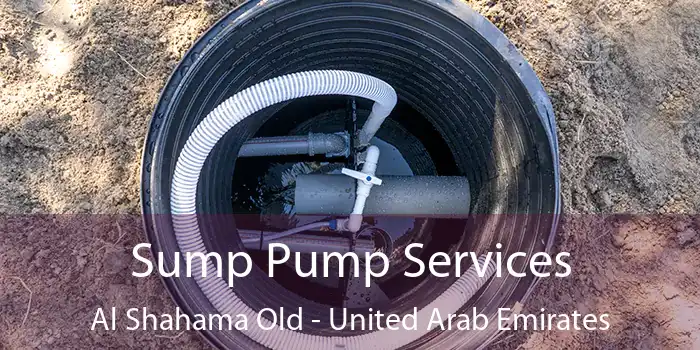 Sump Pump Services Al Shahama Old - United Arab Emirates