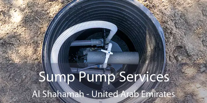 Sump Pump Services Al Shahamah - United Arab Emirates