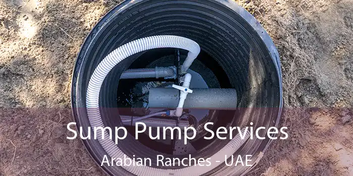  Sump Pump Services Arabian Ranches - UAE