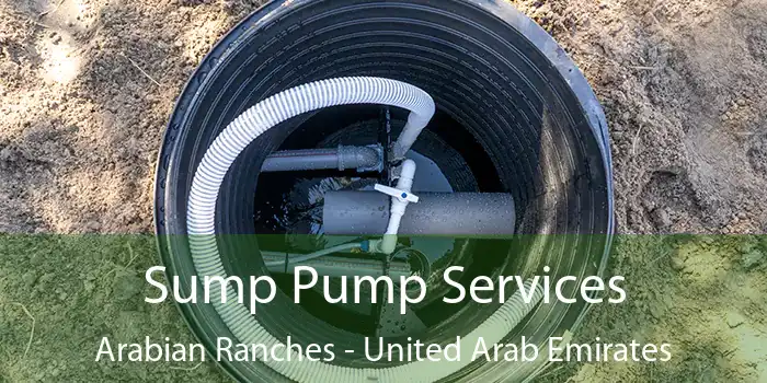 Sump Pump Services Arabian Ranches - United Arab Emirates