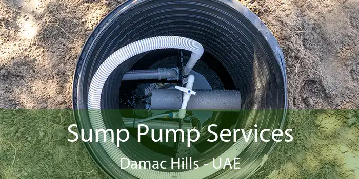  Sump Pump Services Damac Hills - UAE