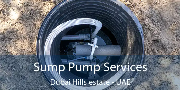 Sump Pump Services Dubai Hills estate - UAE