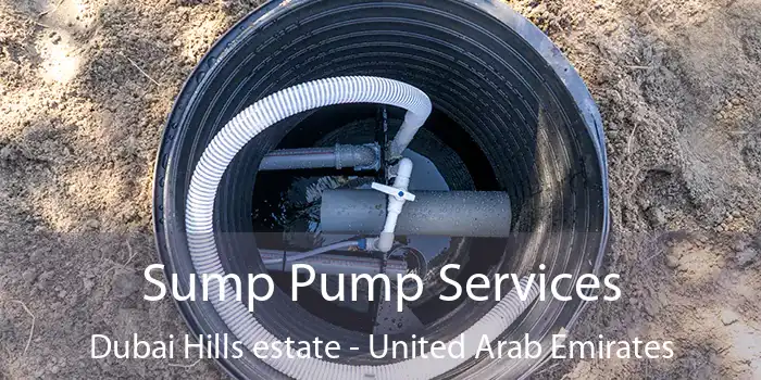 Sump Pump Services Dubai Hills estate - United Arab Emirates