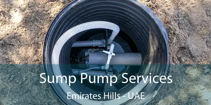  Sump Pump Services Emirates Hills - UAE