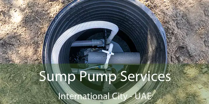  Sump Pump Services International City - UAE