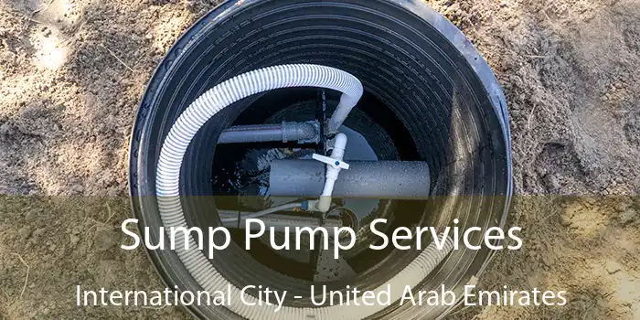 Sump Pump Services International City - United Arab Emirates