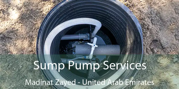 Sump Pump Services Madinat Zayed - United Arab Emirates