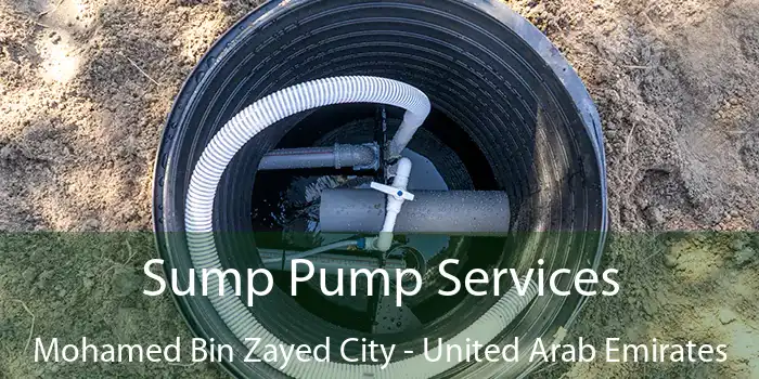Sump Pump Services Mohamed Bin Zayed City - United Arab Emirates