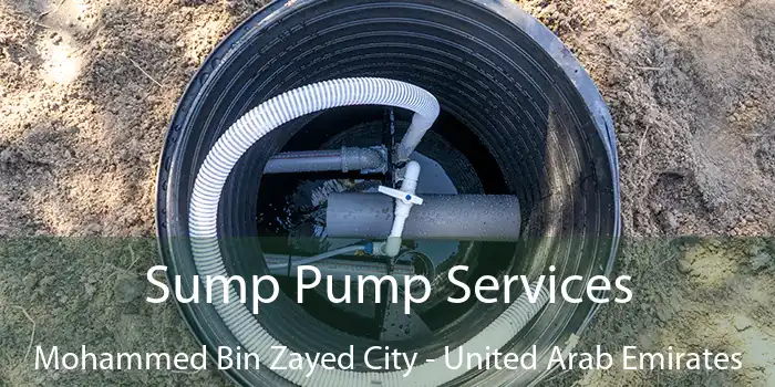 Sump Pump Services Mohammed Bin Zayed City - United Arab Emirates