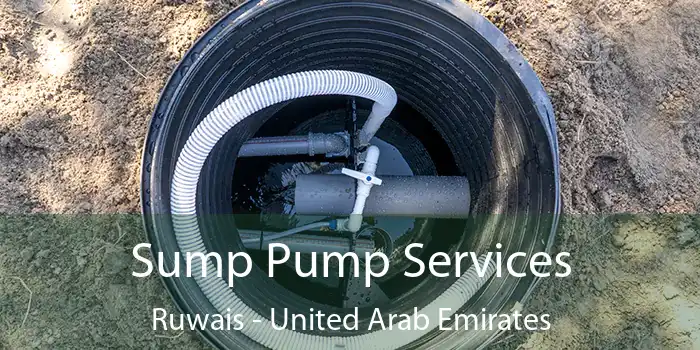 Sump Pump Services Ruwais - United Arab Emirates