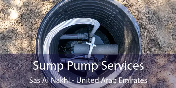 Sump Pump Services Sas Al Nakhl - United Arab Emirates
