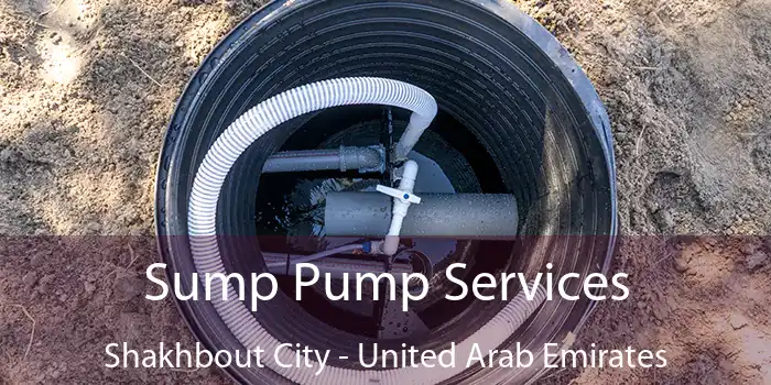Sump Pump Services Shakhbout City - United Arab Emirates