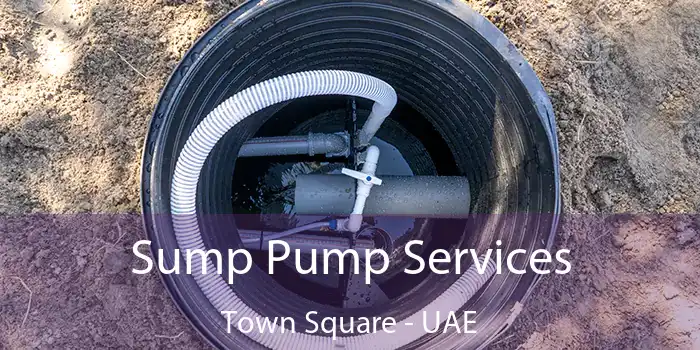 Sump Pump Services Town Square - UAE