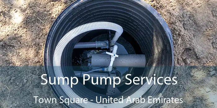 Sump Pump Services Town Square - United Arab Emirates
