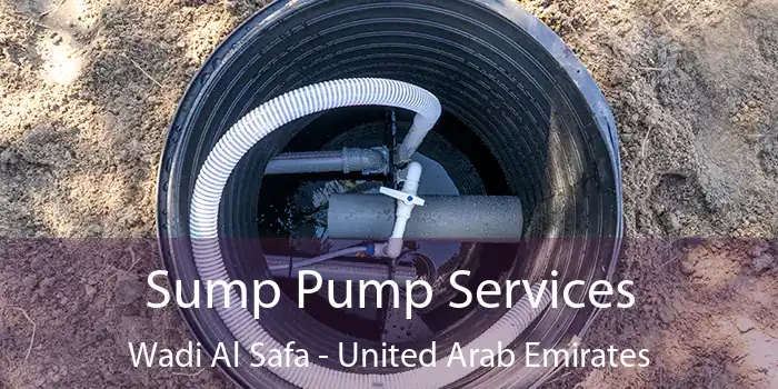 Sump Pump Services Wadi Al Safa - United Arab Emirates