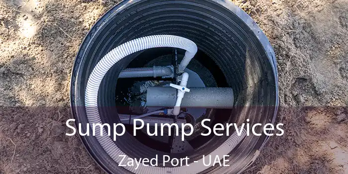  Sump Pump Services Zayed Port - UAE