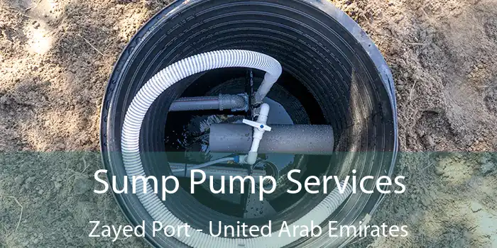 Sump Pump Services Zayed Port - United Arab Emirates
