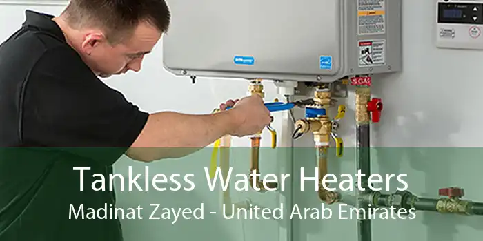 Tankless Water Heaters Madinat Zayed - United Arab Emirates