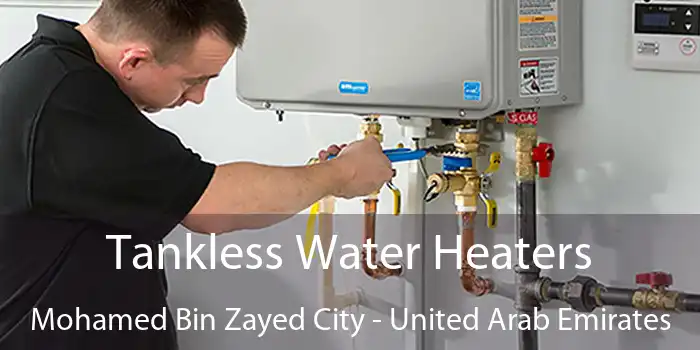 Tankless Water Heaters Mohamed Bin Zayed City - United Arab Emirates