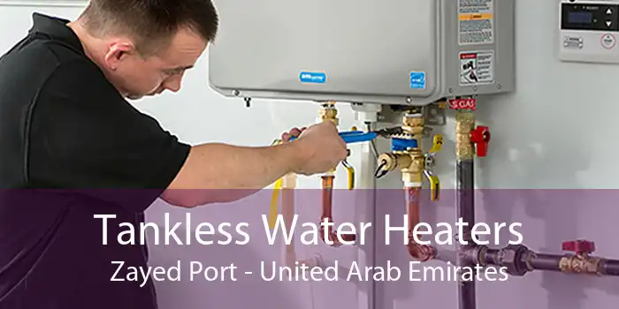 Tankless Water Heaters Zayed Port - United Arab Emirates