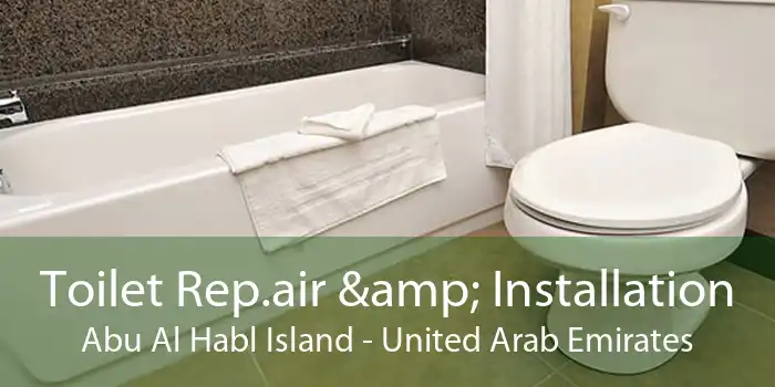 Toilet Rep.air & Installation Abu Al Habl Island - United Arab Emirates