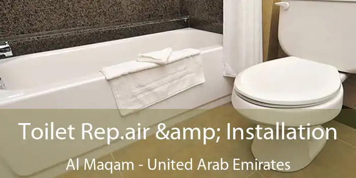 Toilet Rep.air & Installation Al Maqam - United Arab Emirates