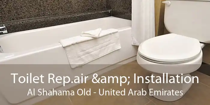 Toilet Rep.air & Installation Al Shahama Old - United Arab Emirates