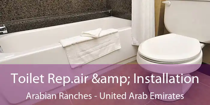 Toilet Rep.air & Installation Arabian Ranches - United Arab Emirates