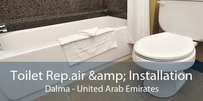 Toilet Rep.air & Installation Dalma - United Arab Emirates