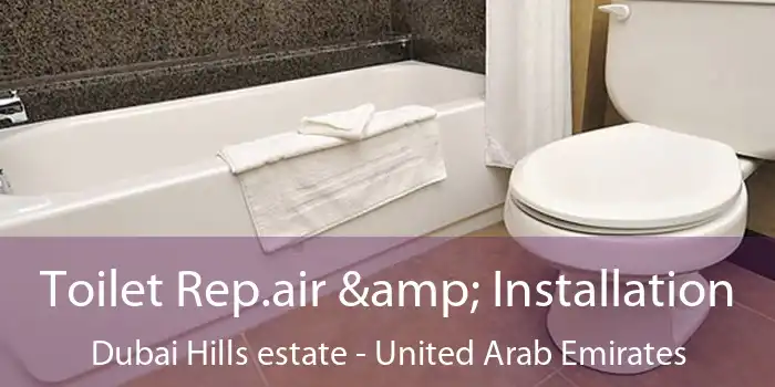 Toilet Rep.air & Installation Dubai Hills estate - United Arab Emirates